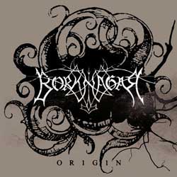   Borknagar   