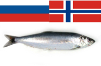   2008       