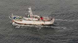 Рыбаки Норвегии стали чаще попадаться на незаконном промысле