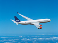  SAS     