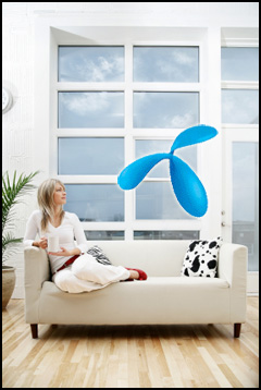    Telenor  Farimex  Vimpelcom  29 