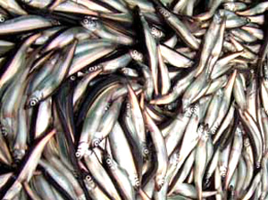  200          ,   ,    -   