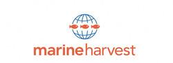    Marine Harvest