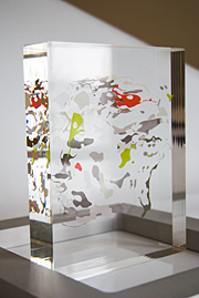    2010     