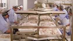 :     Aker Seafoods