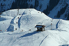          2009