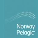 Norway Pelagic AS     