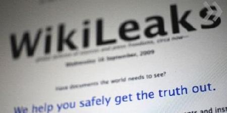 WikiLeaks:       ,  