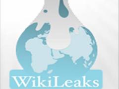 WikiLeaks:  ,     