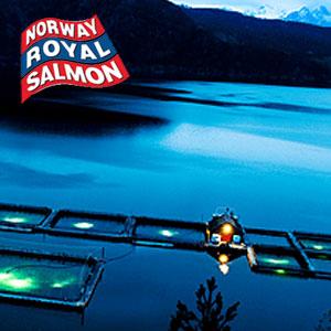  Norway Royal Salmon    