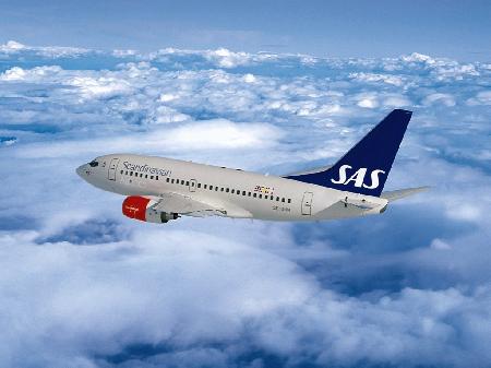  SAS   