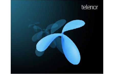   Telenor  2012    32% 