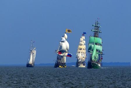         Tall Ships Races