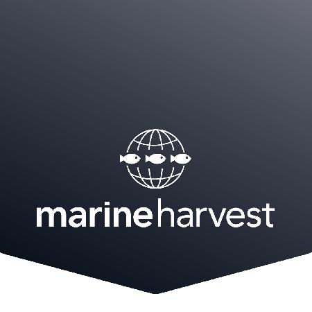  Marine Harvest          