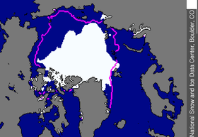 ����������� ������ ��-�� ����������� ����������