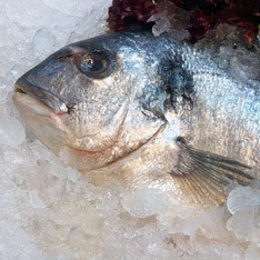 ��������: ������������ ���������� ������� ���������� � ������� �������������� �����