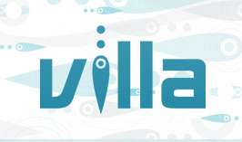 �� ���� �������������� �������� ����