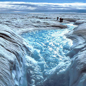 ����� ���� ����