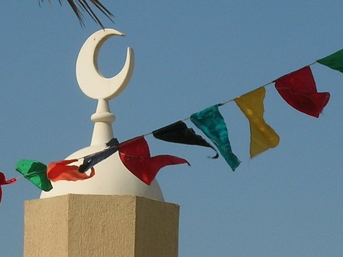 � ���������� �������� ������ ������������ ������������ ������������ ���������