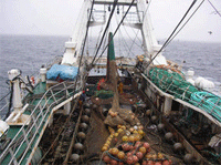 ���������� ���������-���������� �������� ���������� �����