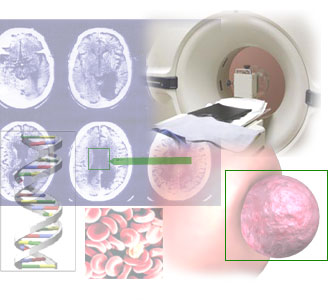 ����� ���������� ������