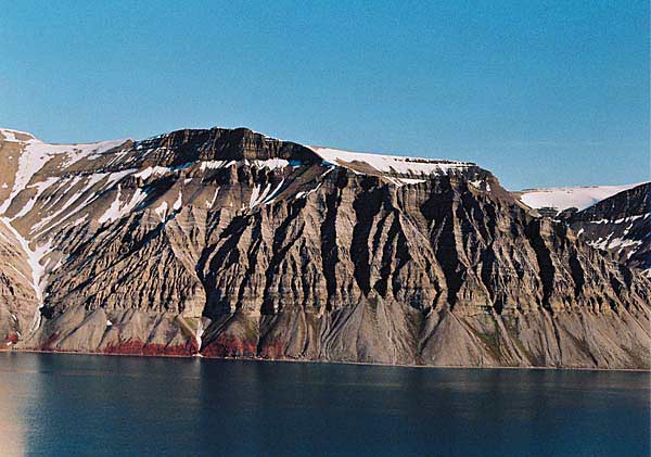 �� ����� �������� ����� ������ ���������� ��������