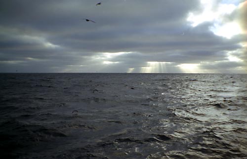 ������ � �������� ����� ����