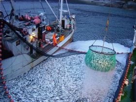 ������ �������������� ����� �������� � ��������