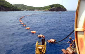 ��������� ������, ���������� $15 ��������� ���������� �������� �������������� � �����������