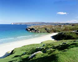 ��������: ���������� � ���������� ����� ������ � ������ �� �������� ��������� ��������� �� 25%