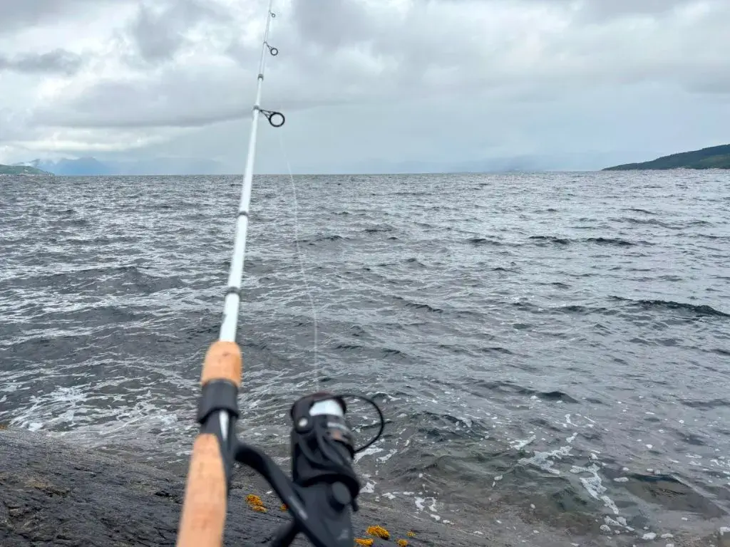 ����������� ��������� ����� � ��������